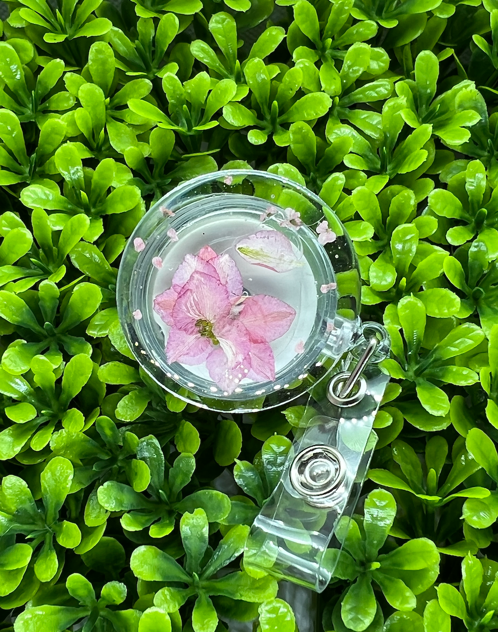 Blossom in Pink